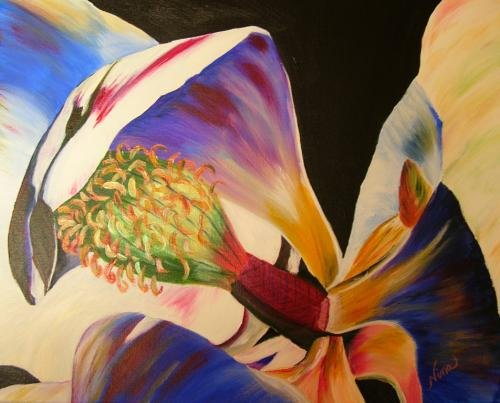 Magnolia Closeup Print - NWocp
