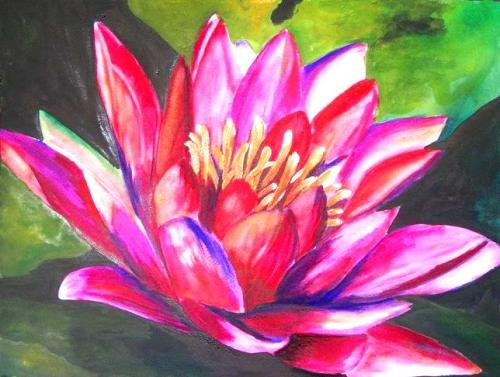 Waterlily Print - NWppp
