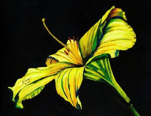 Yellow Lily Print - NWlp