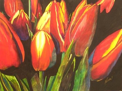Orange Tulips Print - NWotp