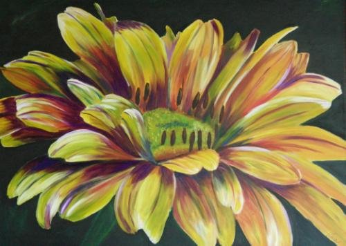 Yellow Daisy Print - NWcp
