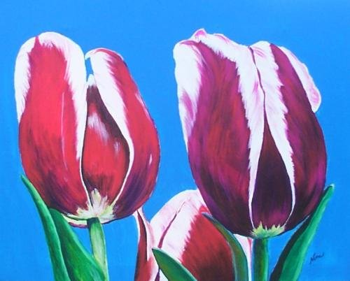 Hybrid Tulips Print - NWhtp