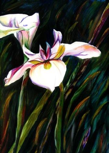 White Lily Print - NWwlp