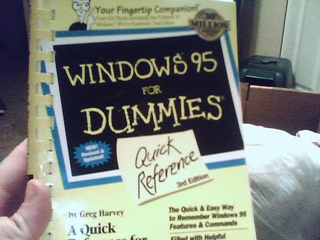 Windows 95 for Dummies Book - TLCwi