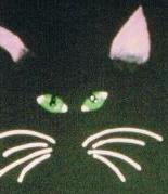 My Cat's Face - DDcf