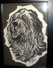 English Sheepdog - AAla