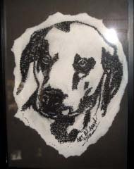 Dalmation - AAda
