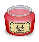 Cinnamon Red Hot Soy Candle 5 oz. - FHrhs5