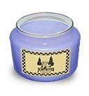 Mountain Lake Soy Candle 5 oz. - FHmts5