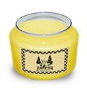 Pineapple Blossom Soy Candle 5 oz. - FHpbs5