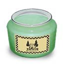 Water Blossom Ivy Soy Candle 5 oz. - FHwbs5