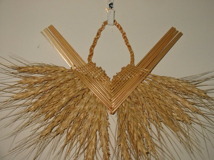 Corizon Wheat Weaving - EEcw