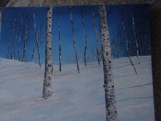 Aspen Winter - LVaw