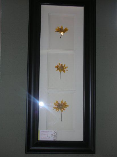 Black Frame with Sunflowers - CRsf