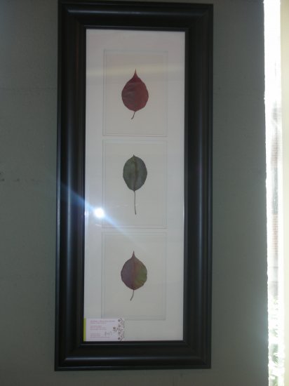 Black Frame With Leaves - CRle