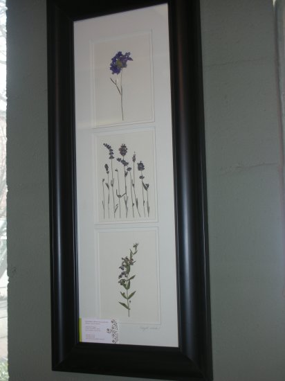 Black Frame With Lavenders - CRla