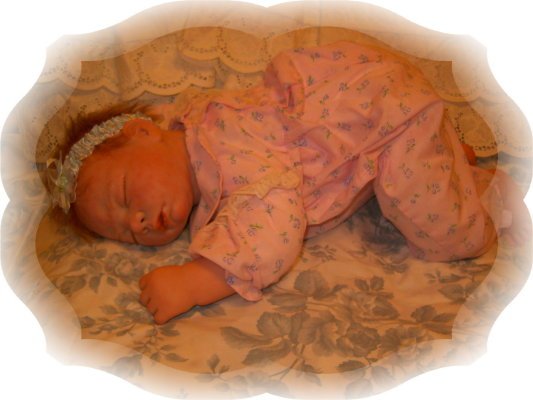 Corey Ann Reborn Doll - MGca
