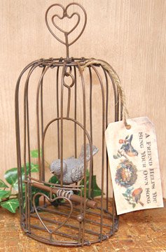 Sing Your Own Song Birdcage - CWG112033