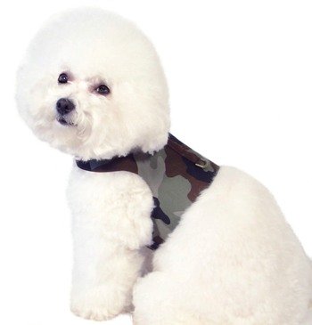 Camouflage harness vest by Thayer and Ridge ~S~