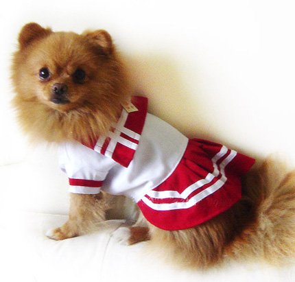 Red Sailor Dress Costume ~Medium~