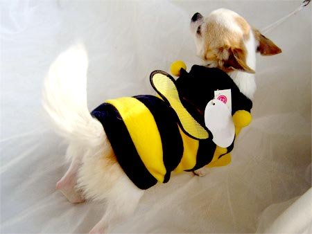 Honey Bee Hoodie Costume ~XXS~