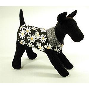 Black & White Daisy Print Jacket - Thayer and Ridge ~S~