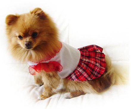 Red and White Dog Dress ~XS~