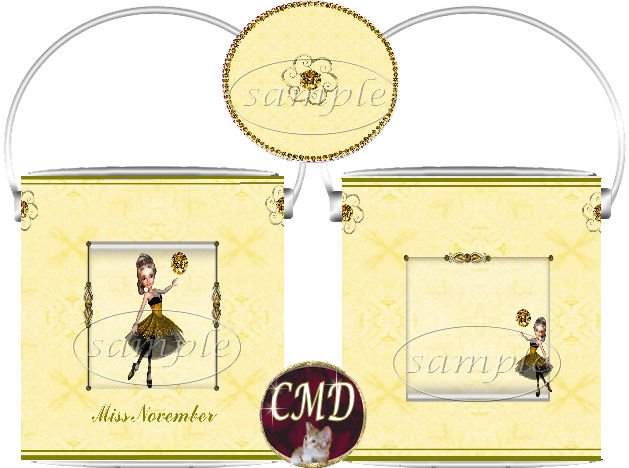 Ballerina Birthstone Gift Can - template - NOVEMBER