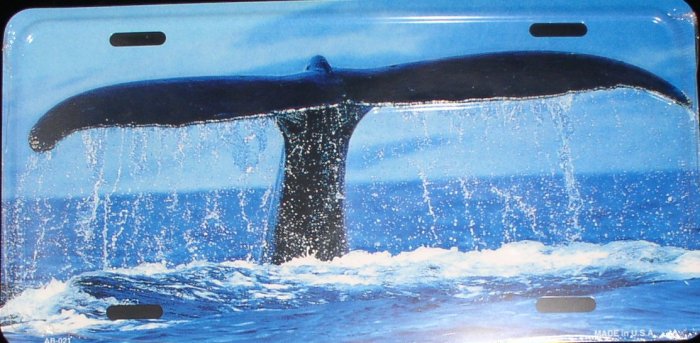 AIR BRUSHED WHALE TAIL IN OCEAN LICENSE PLATES