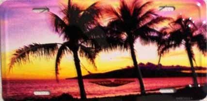 AIR BRUSHED SUNSET SUNRISE ON BEACH WITH HAMMOCK LICENSE PLATES