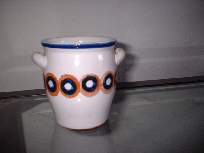 southwestern plant cactus pot jug bonsai or mame