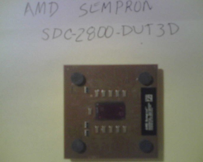 AMD Socket A (Socket 462) Sempron 2800 SDC2800DUT3D