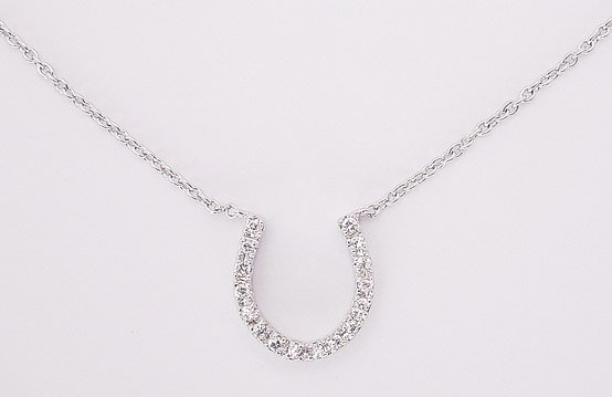 Large Horseshoe Necklace