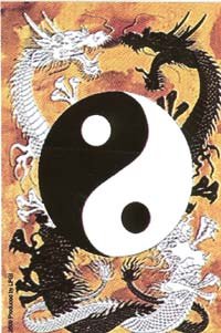 Yin Yang Dragons Vinyl Sticker
