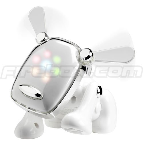 i-dog