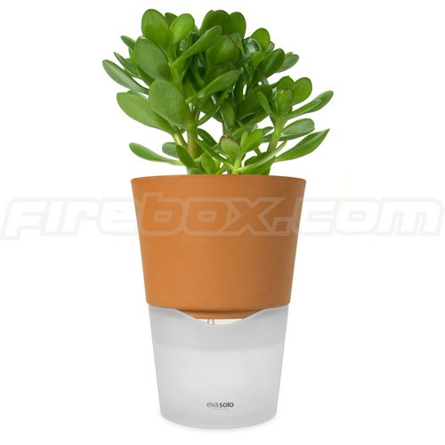 Self-Watering Flower Pot