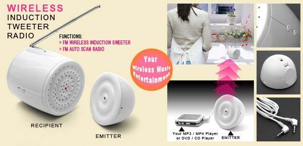 Mini Wireless Music Transmitter/FM Radio Speaker - Silver white