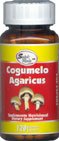 Agaricus blazei murril