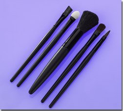5 PC Brush Set.