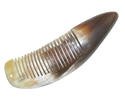 Genunie Ox-horn Comb