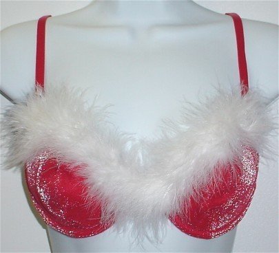 34B ~ Shimmery Holiday Red Silver & White Feather Bra/Thong Set 34 B