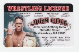 JOHN CENA WRESTLING LICENSE