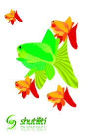 GarpFishing