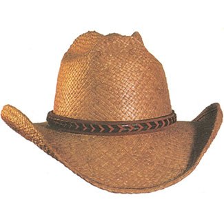 Shady Brady Hat Brown Raffia Straw Arrow Western Braid Medium