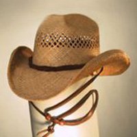 Shady Brady Cowboy Hat Bon Jovi Raffia Straw Rawhide Band Chinstrap Small