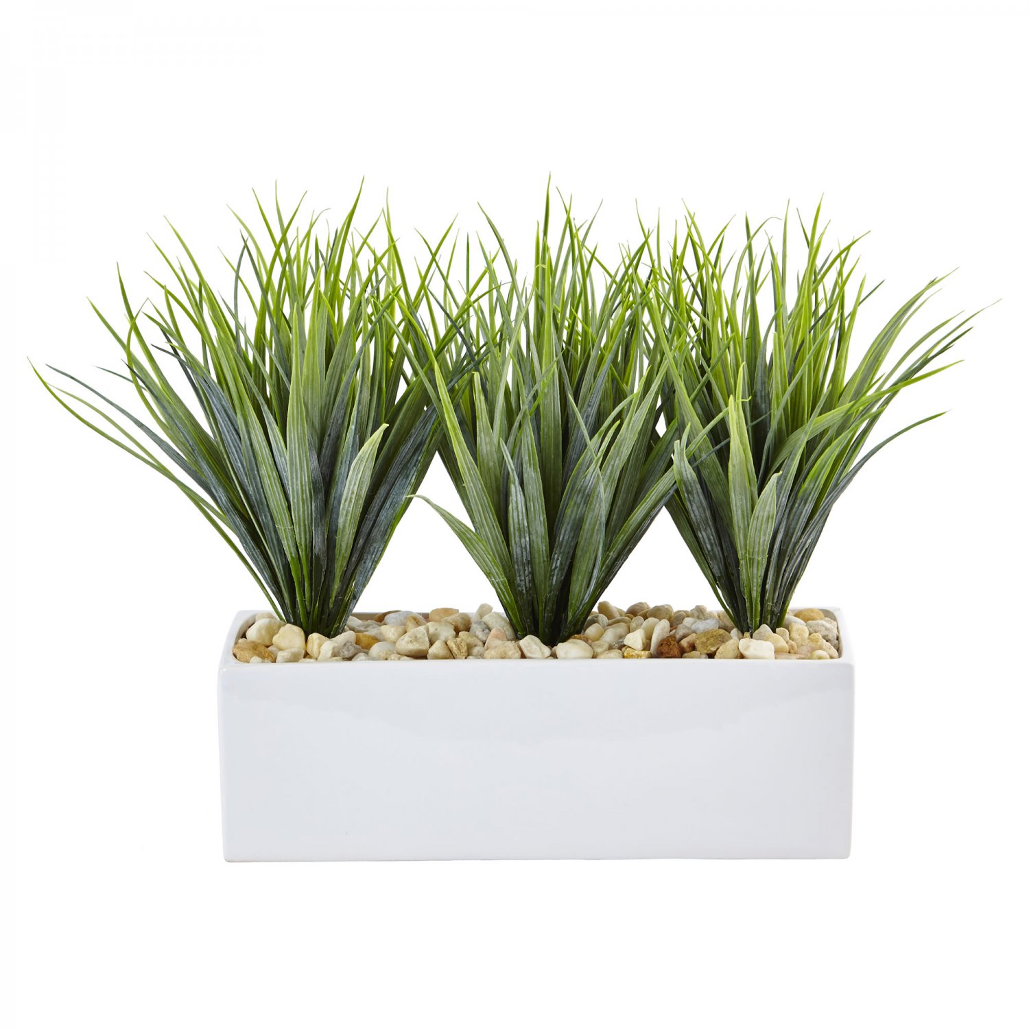 Vanilla Grass in Rectangular Planter 6915