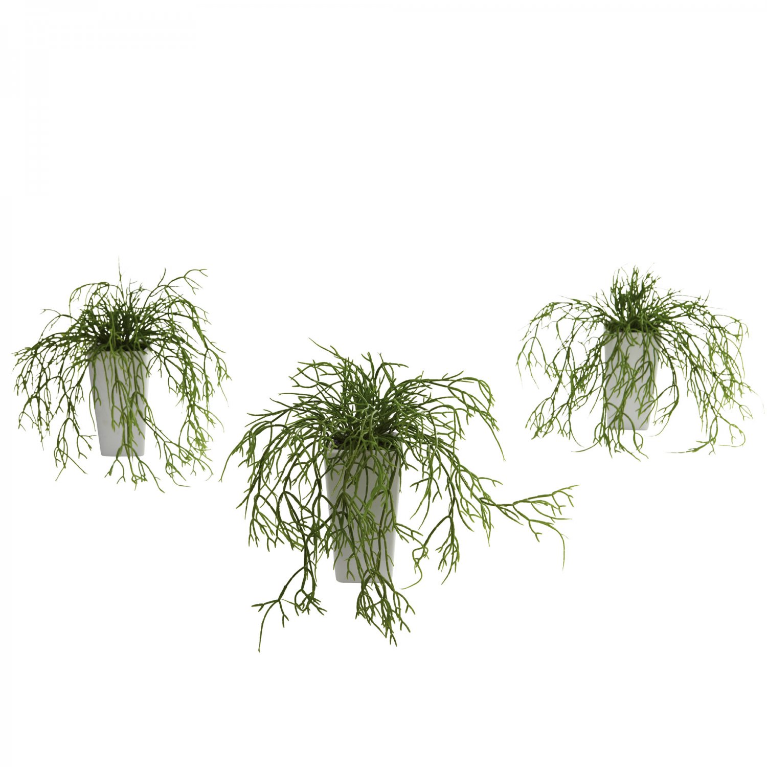 Wild Grass w/White Vase (Set of 3) 4973-S3