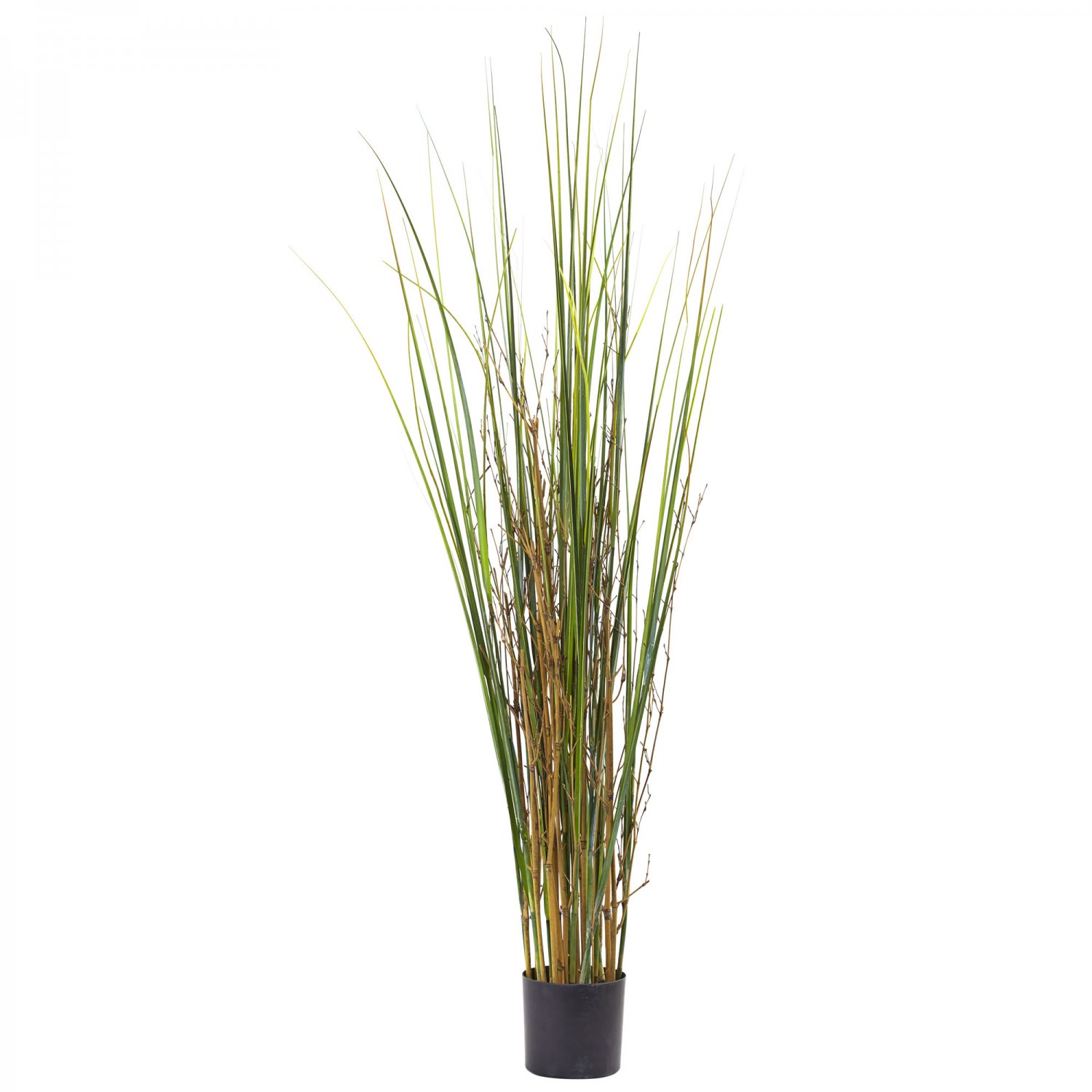 4' Grass & Bamboo Plant 6829