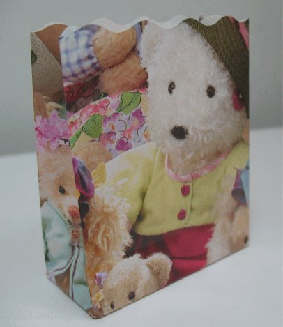 10 Open Top Small Bags - All Dressed Up Teddy Bear Pattern