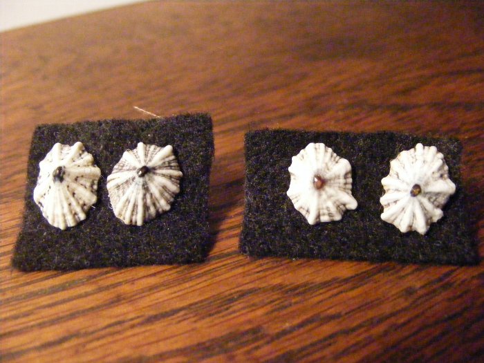 Item 018 White Star Stud Earrings
